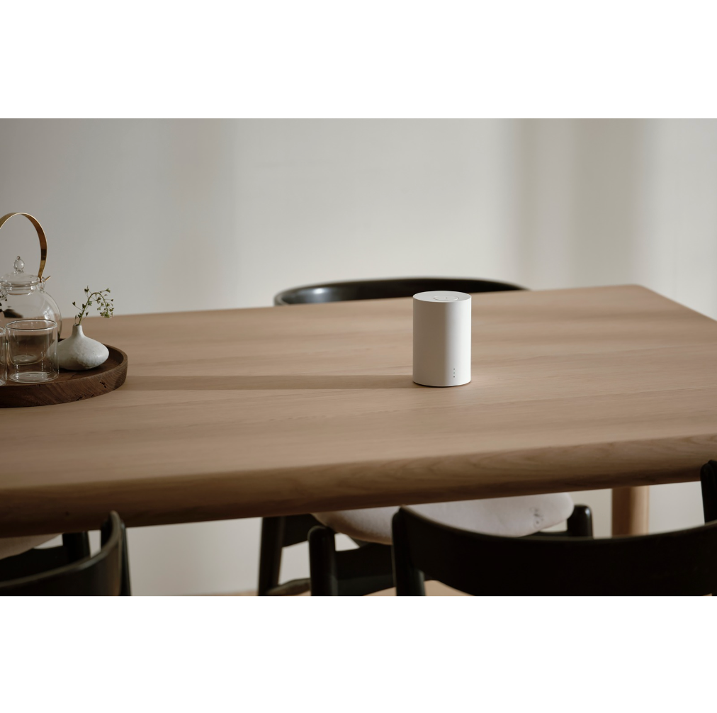 nebulizing diffuser one