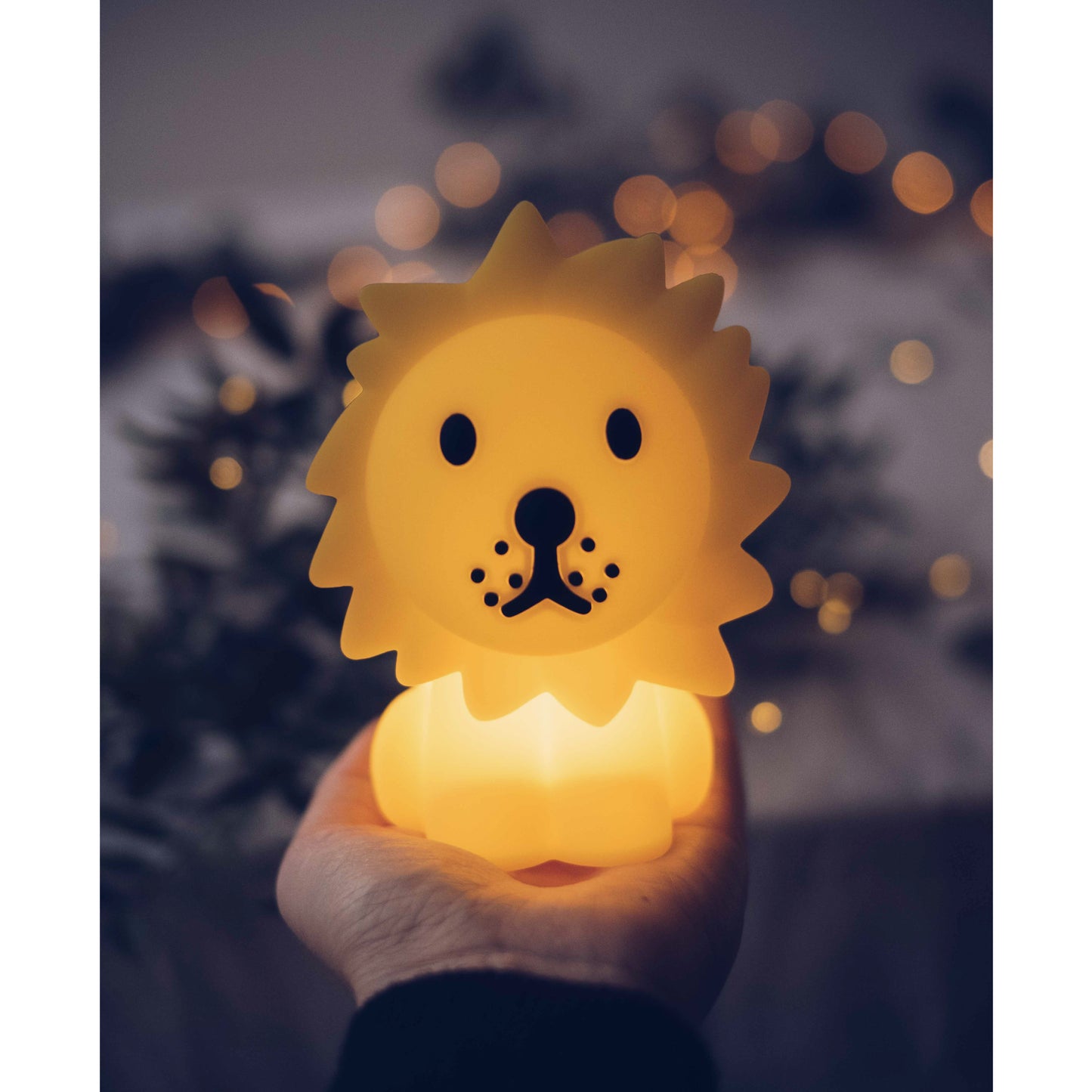 Bundle of Light | Lion