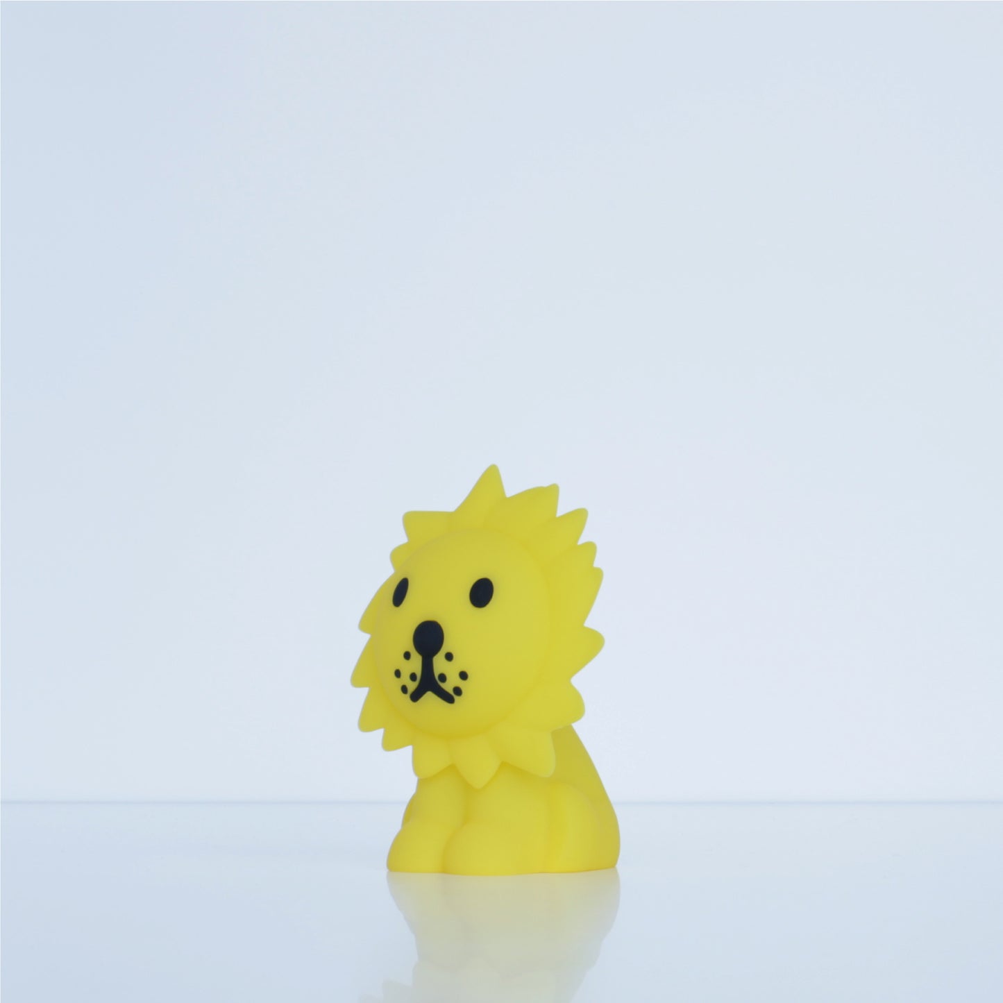Bundle of Light | Lion