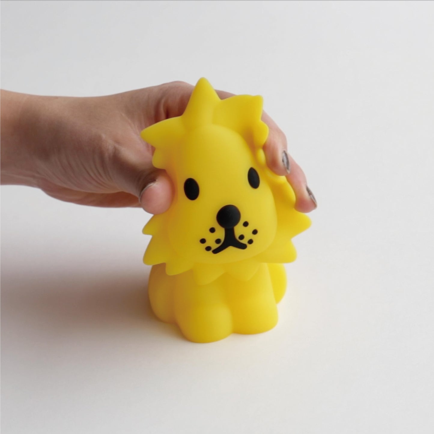 Bundle of Light | Lion