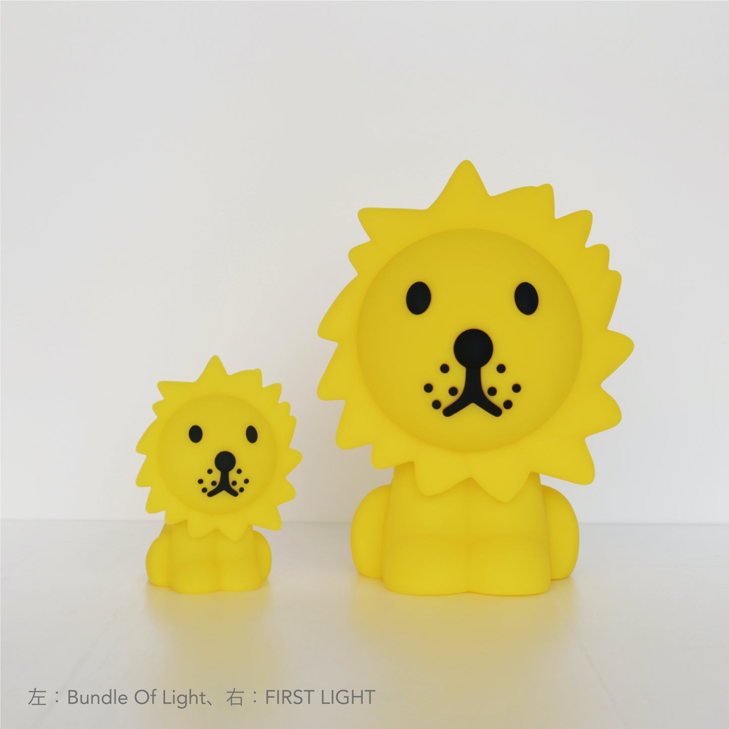 Bundle of Light | Lion
