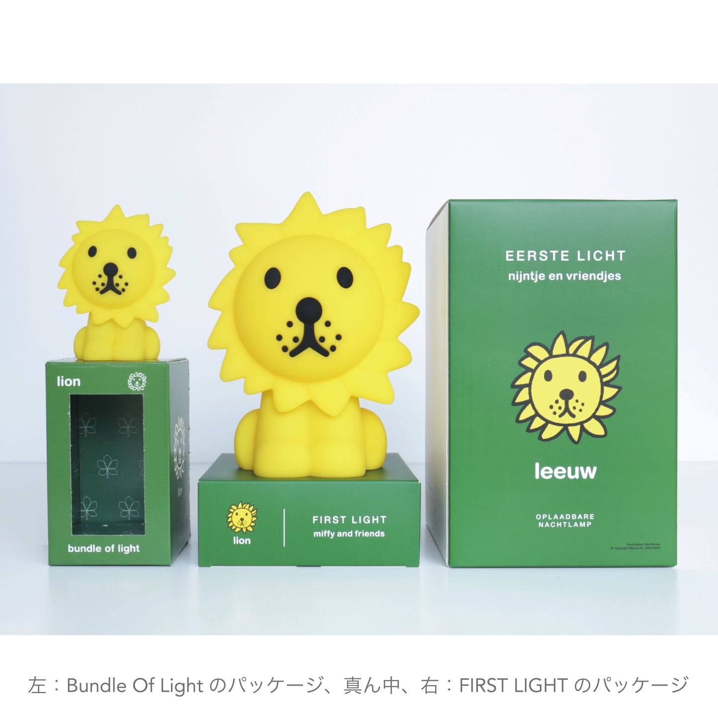 Bundle of Light | Lion