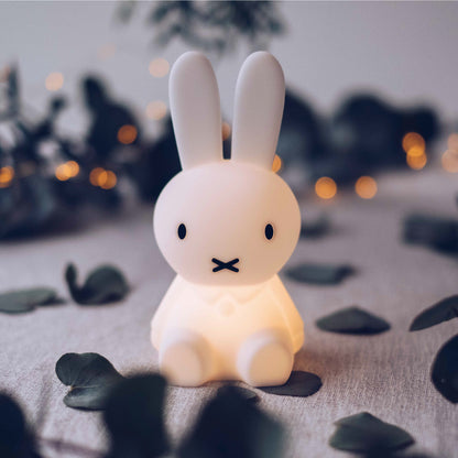 Bundle of Light | Miffy