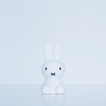 Bundle of Light | Miffy