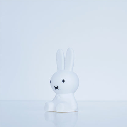 Bundle of Light | Miffy