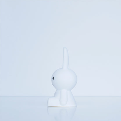 Bundle of Light | Miffy