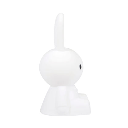 FIRST LIGHT miffy and friends | Miffy
