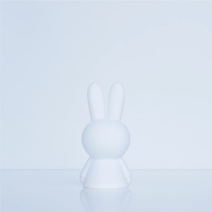 Bundle of Light | Miffy