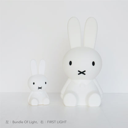 Bundle of Light | Miffy